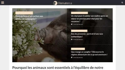 Humaterra
