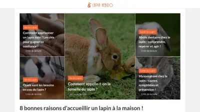 Lapin Hebdo
