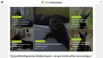 Sos Dobermann