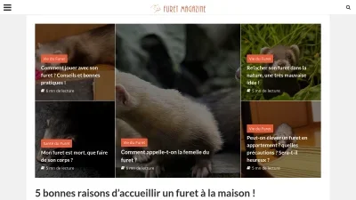 Furet-magazine.com