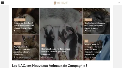 NAC Hebdo