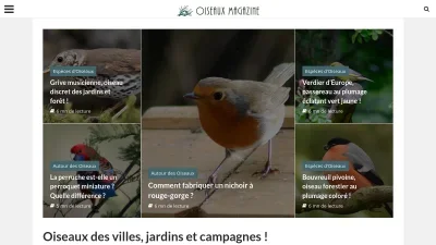 Oiseaux Magazine