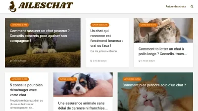 Aileschat.com