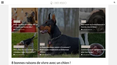 Chiens Hebdo