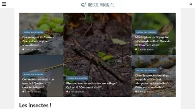 Insectes Magazine