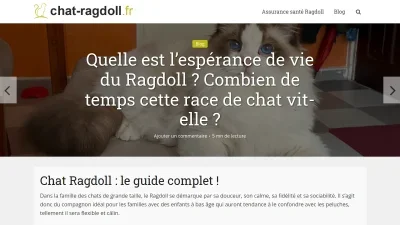 Chat Ragdoll