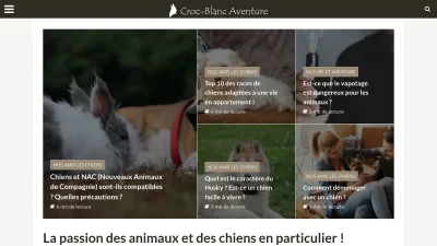 Croc-blanc Aventure