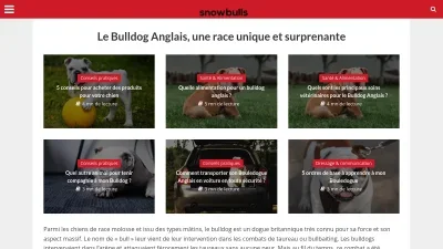Snowbulls.fr