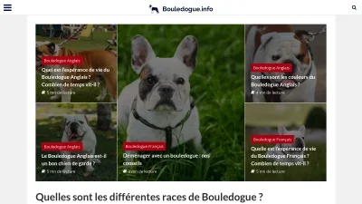 Bouledogue.info
